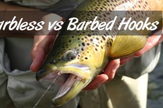 Barbed vs Barbless Hooks